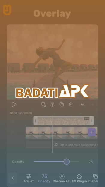 vivacut mod apk